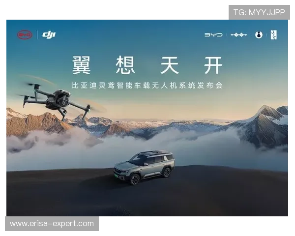 k8凯发中国天生赢家·一触即发：如何在激烈竞争中脱颖而出成为真正的赢家