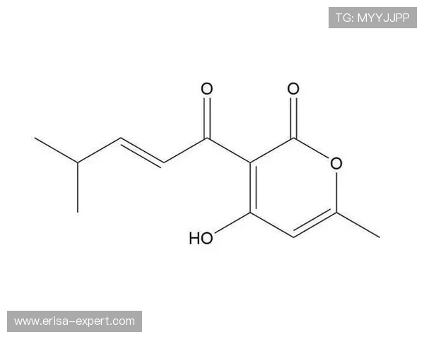 凯发k8手机版安全保障措施，保障玩家资金与个人信息安全的详细方案